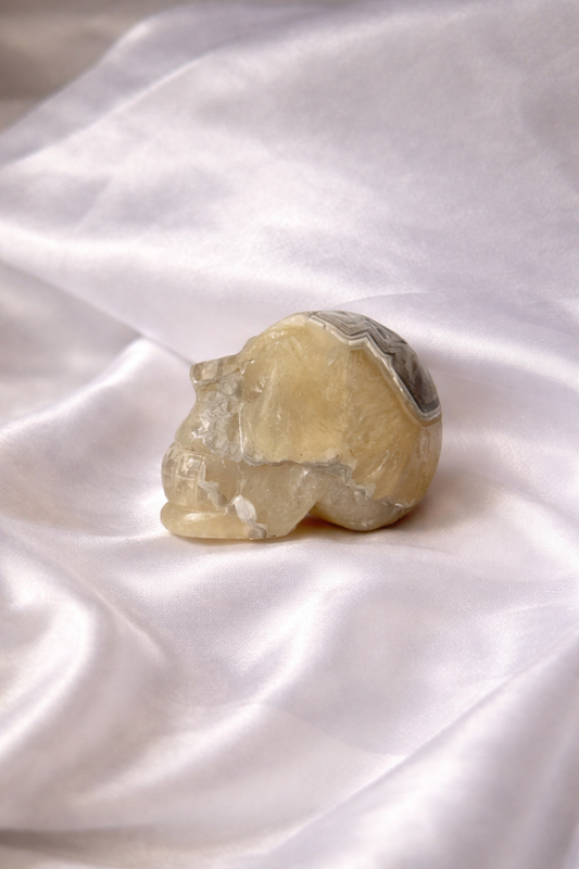 Mexican lace agate skull