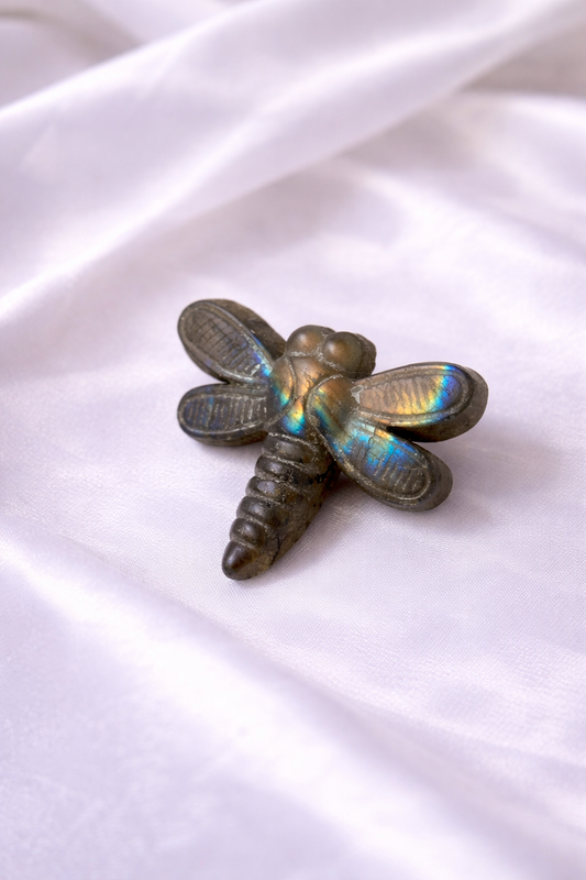 Labradorite dragonfly