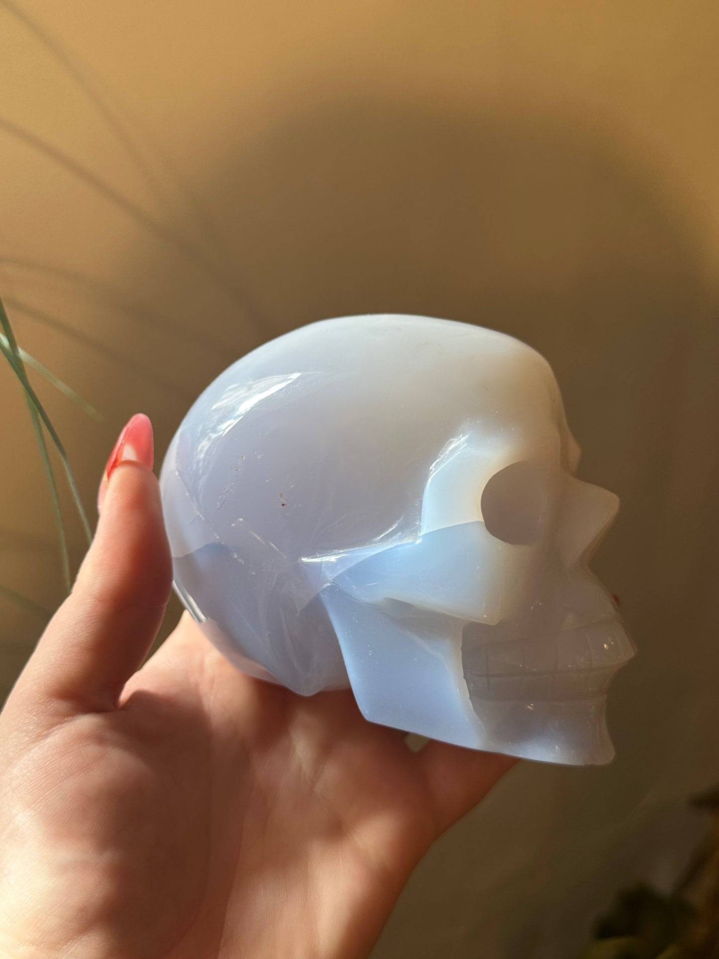 XL  * Rare * blue chalcedony skull