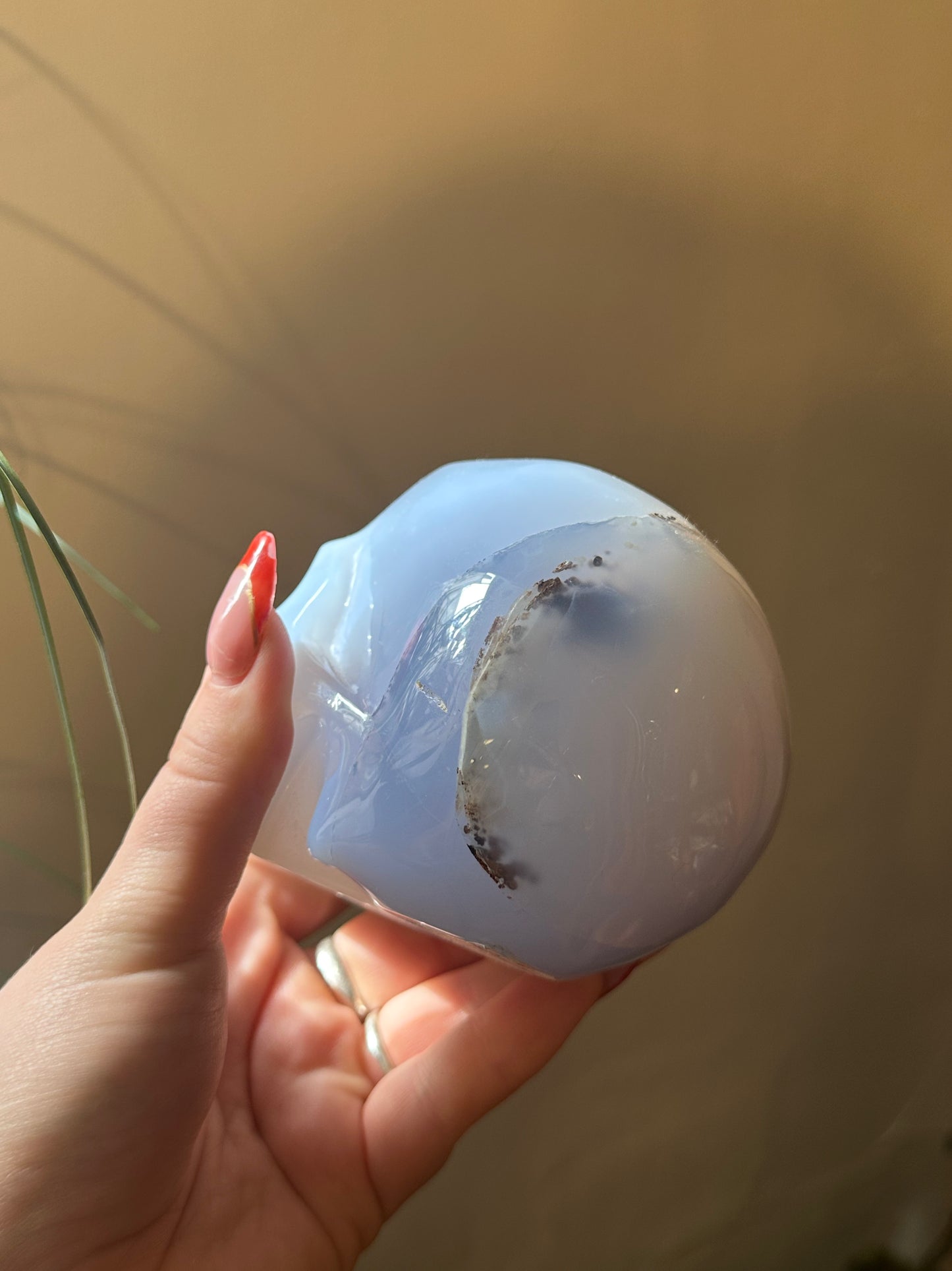 XL  * Rare * blue chalcedony skull