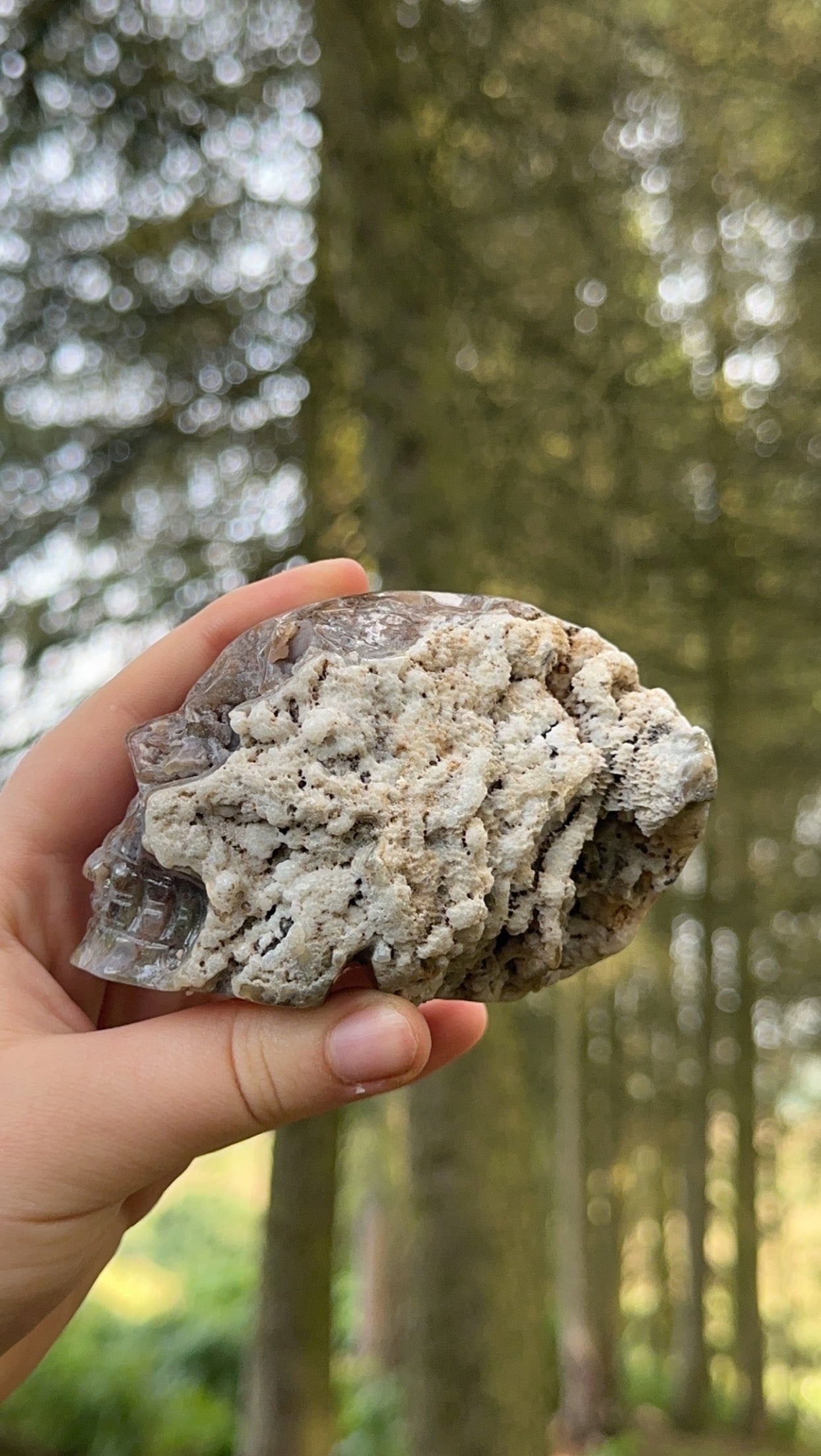 Moss agate half raw skull