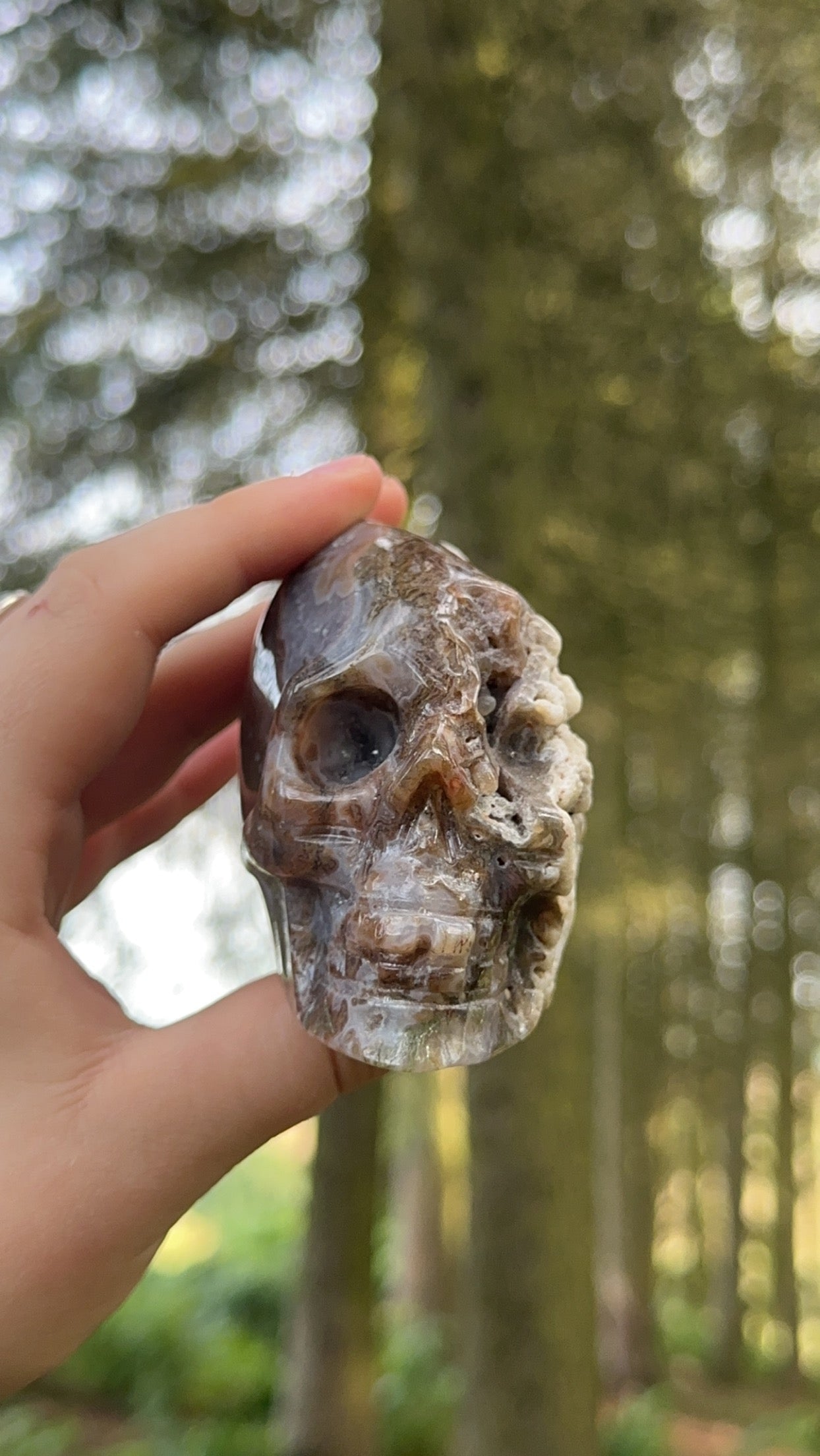 Moss agate half raw skull