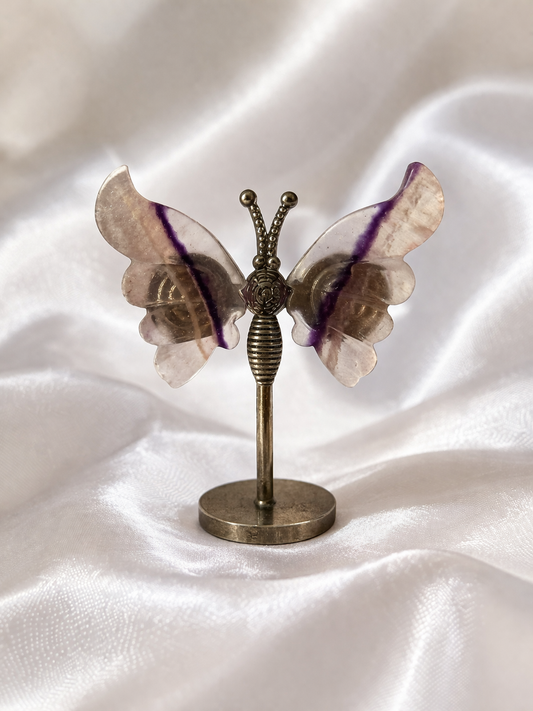 Fluorite butterfly