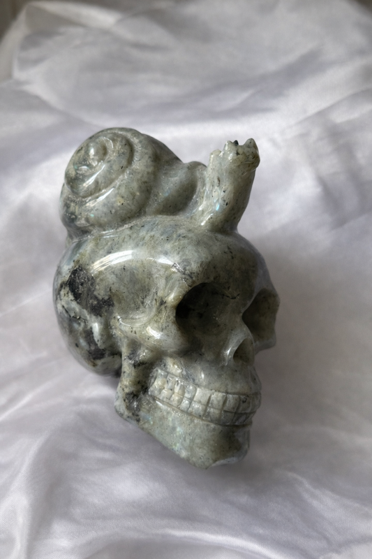 Labradorite skull with snail