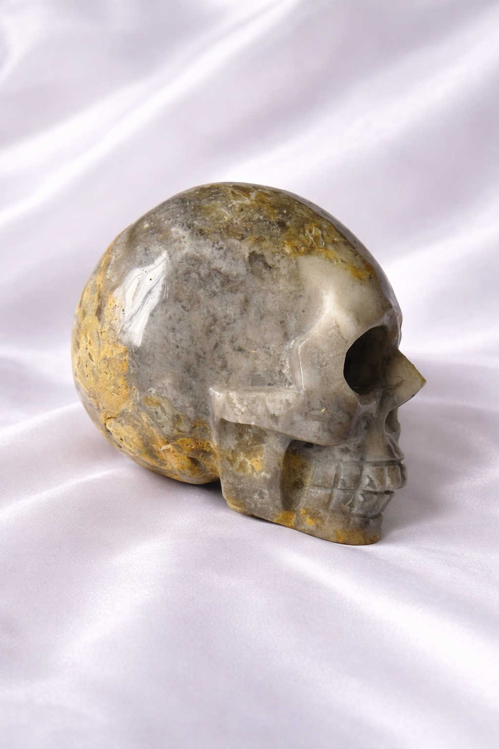 XL Crazy lace agate skull