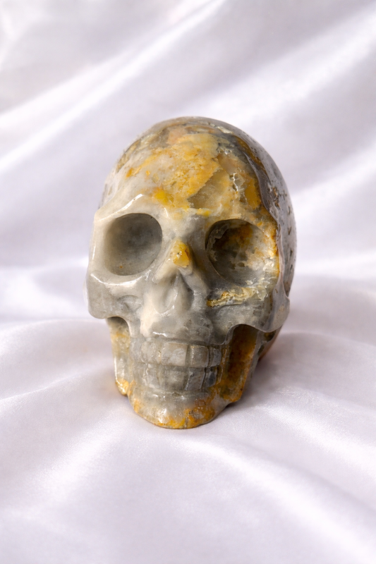 XL Crazy lace agate skull